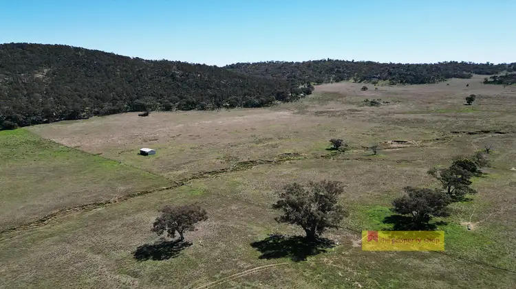 Fourth view of Homely rural property listing, 317 Uungula Road, Wuuluman NSW 2820