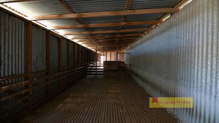 Fifth view of Homely rural property listing, 317 Uungula Road, Wuuluman NSW 2820