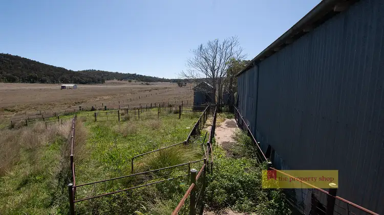 Seventh view of Homely rural property listing, 317 Uungula Road, Wuuluman NSW 2820