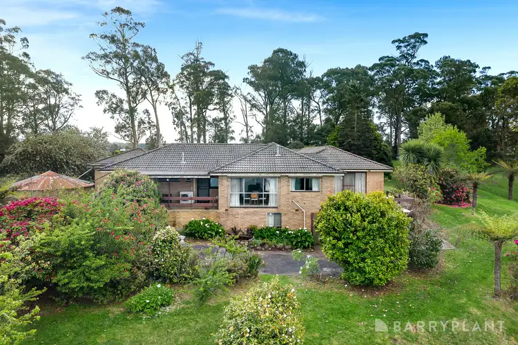 2941 Healesville-Kinglake Road
