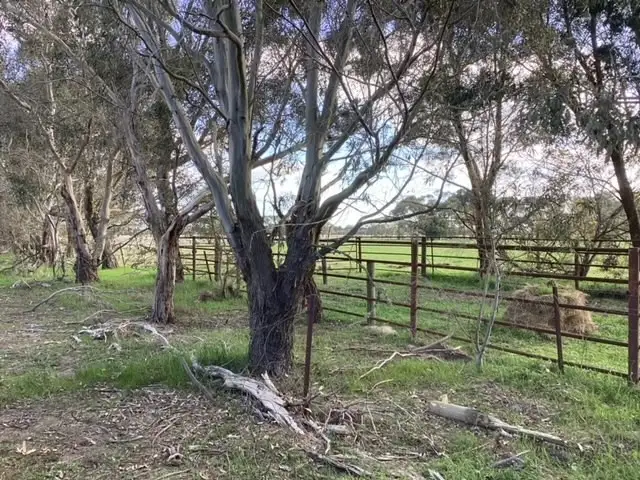Third view of Homely rural property listing, Lot 3 Wilsons Road, Haddon VIC 3351