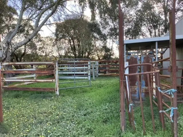 Fifth view of Homely rural property listing, Lot 3 Wilsons Road, Haddon VIC 3351