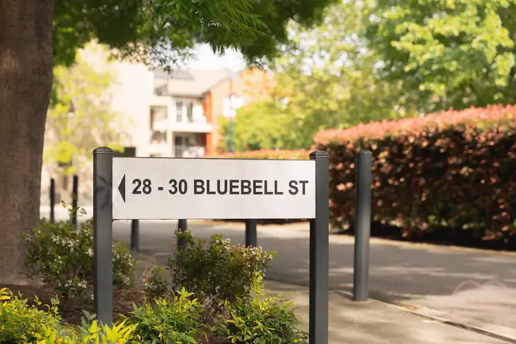Second view of Homely apartment listing, 43/28 Bluebell Street, O'connor ACT 2602