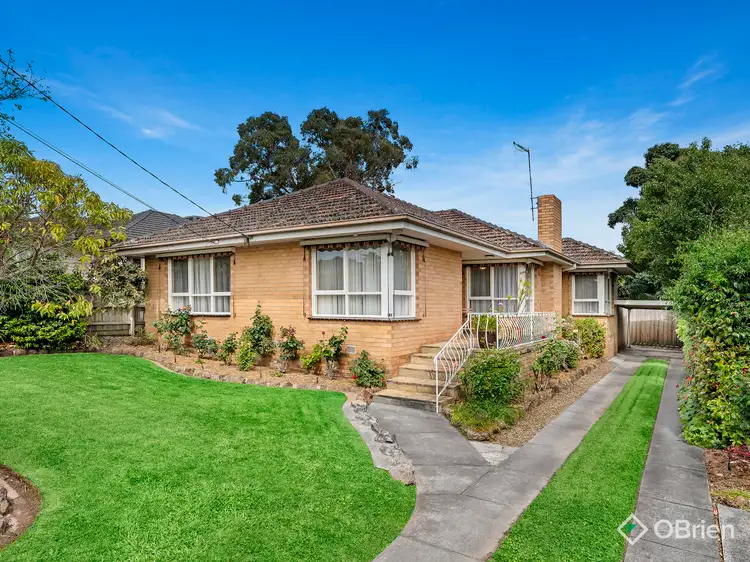 Main view of Homely house listing, 50 Blanche Drive, Vermont VIC 3133