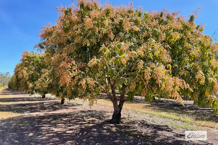 Seventh view of Homely rural property listing, 30 Cain Road, Lambells Lagoon NT 822