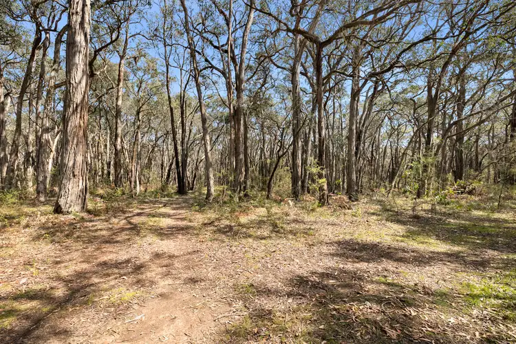 Fifth view of Homely house listing, 570 Wensleydale Station Road, Wensleydale VIC 3241