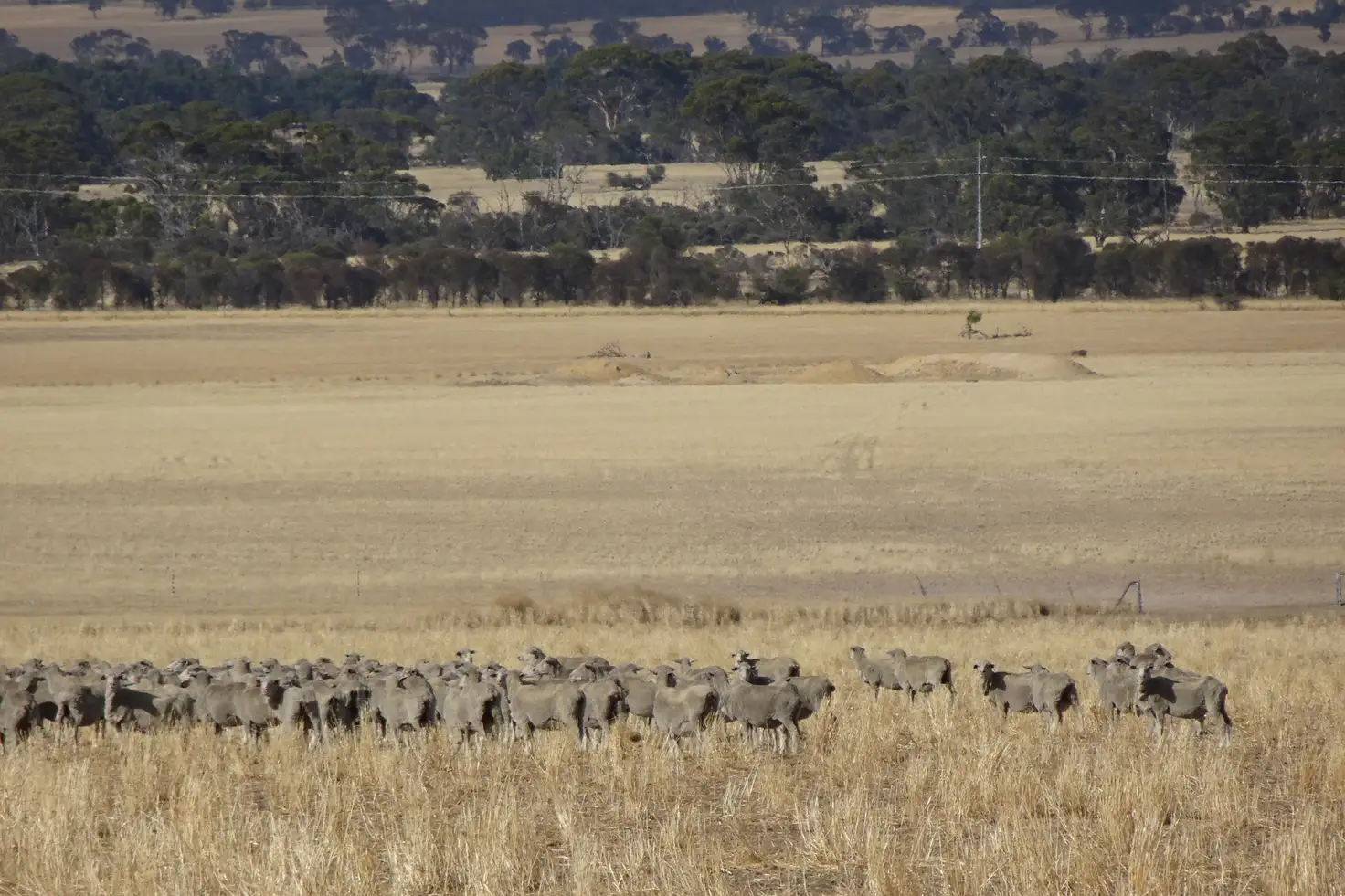 Main view of Homely rural property listing, Lot 12520 Great Southern Highway, Woodanilling WA 6316