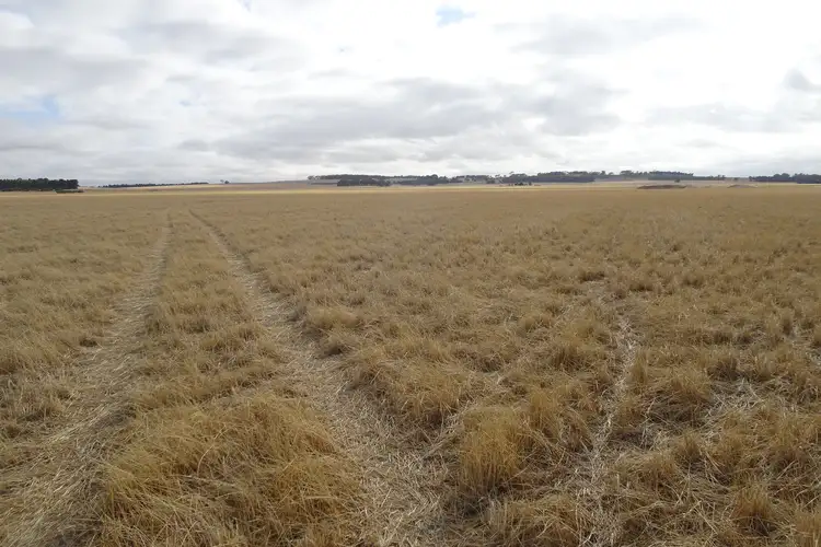 Third view of Homely rural property listing, Lot 12520 Great Southern Highway, Woodanilling WA 6316