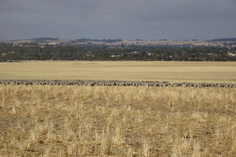 Seventh view of Homely rural property listing, Lot 12520 Great Southern Highway, Woodanilling WA 6316
