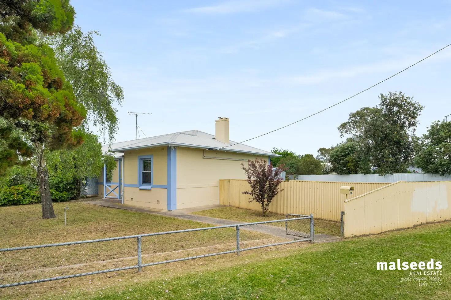 Main view of Homely house listing, 38 Pressey Street, Mount Gambier SA 5290