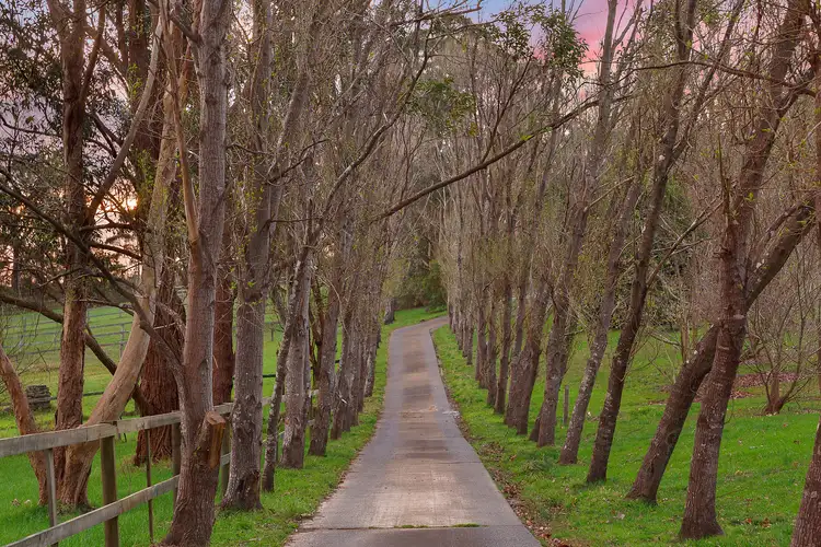 Third view of Homely rural property listing, 17 James Norton Road, Bensville NSW 2251