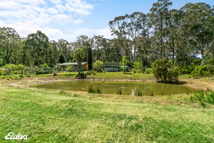 Main view of Homely house listing, 445 Bolgers Road, Devon North VIC 3971