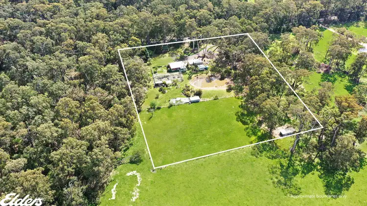 Second view of Homely house listing, 445 Bolgers Road, Devon North VIC 3971