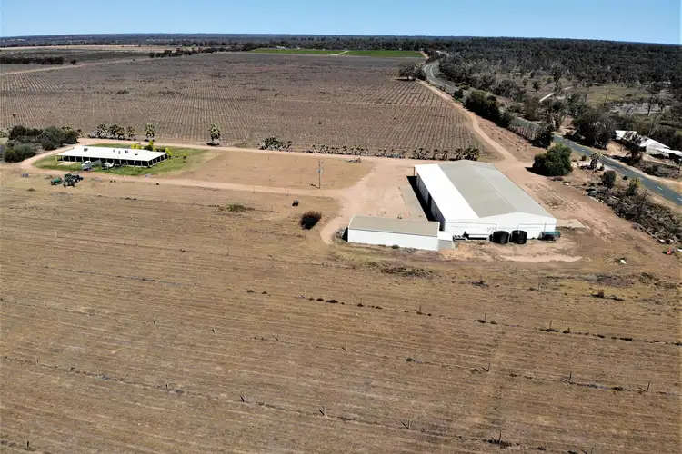 Sixth view of Homely rural property listing, 2756 Tapalin Mail Road, Euston NSW 2737