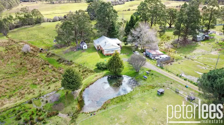 149 Mount Arthur Road, Patersonia TAS 7259