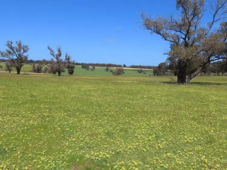 Main view of Homely rural property listing, Lots Old Mail Road, Kulikup WA 6244