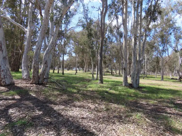 Fifth view of Homely rural property listing, Lots Old Mail Road, Kulikup WA 6244