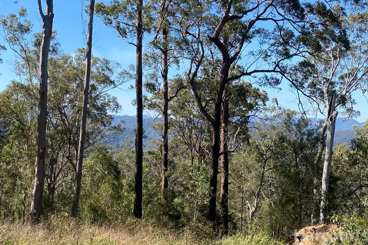 Main view of Homely rural property listing, 487 Smiths Creek Road, Lower Creek NSW 2440