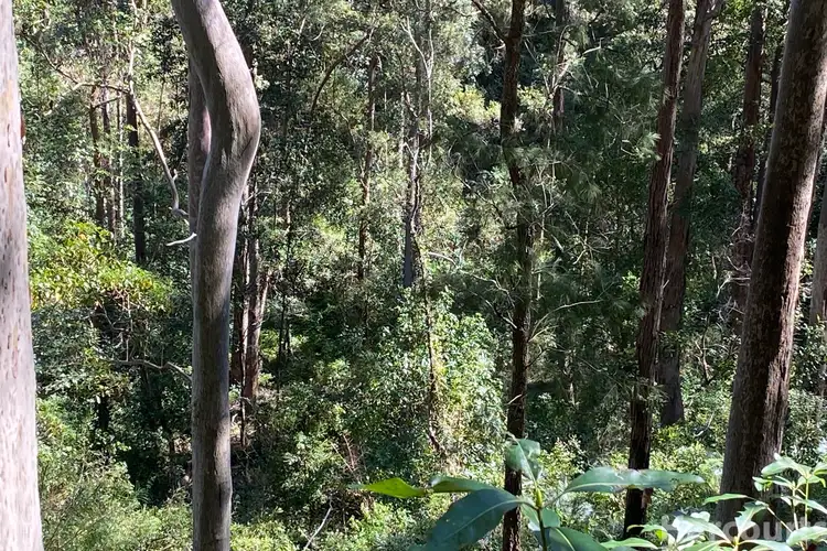 Second view of Homely rural property listing, 487 Smiths Creek Road, Lower Creek NSW 2440