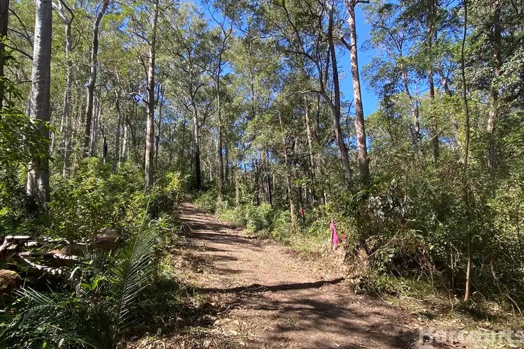 Third view of Homely rural property listing, 487 Smiths Creek Road, Lower Creek NSW 2440