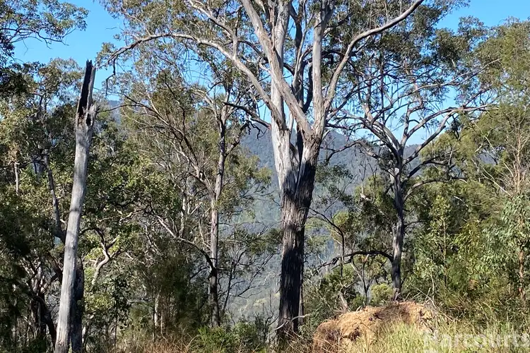 Fourth view of Homely rural property listing, 487 Smiths Creek Road, Lower Creek NSW 2440