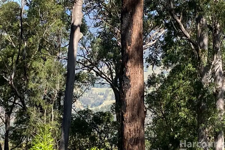 Sixth view of Homely rural property listing, 487 Smiths Creek Road, Lower Creek NSW 2440