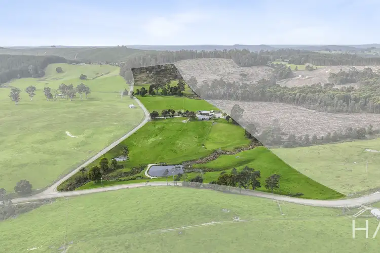 Third view of Homely house listing, 224 Tunnel Road, Tunnel TAS 7254