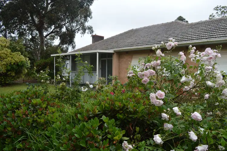 Fifth view of Homely house listing, 66 Langman Grove, Felixstow SA 5070