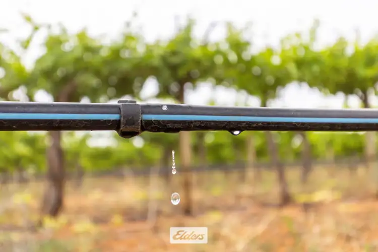 Sixth view of Homely rural property listing, 5 Murray Avenue, Red Cliffs VIC 3496