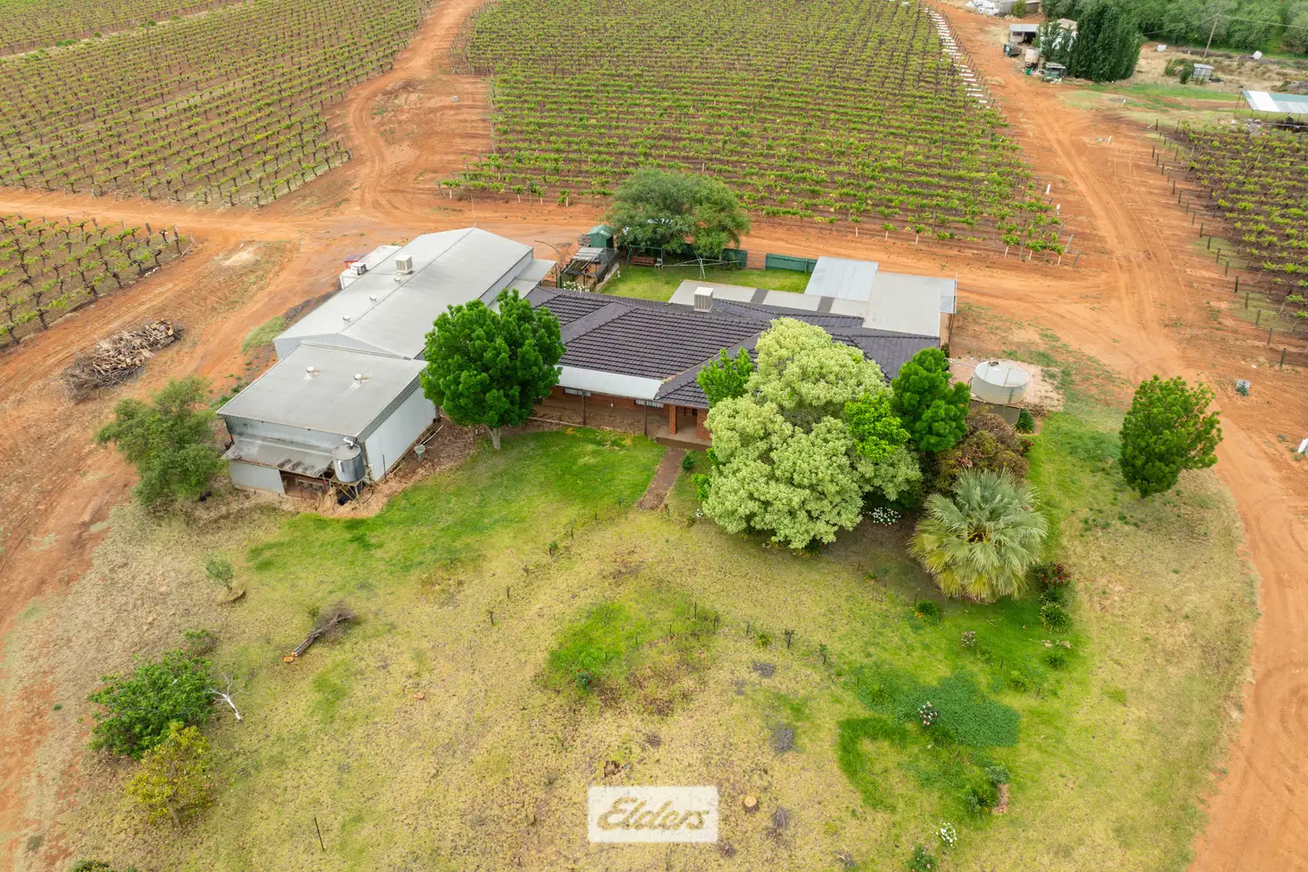 Main view of Homely rural property listing, 1011 Coorong Avenue, Red Cliffs VIC 3496