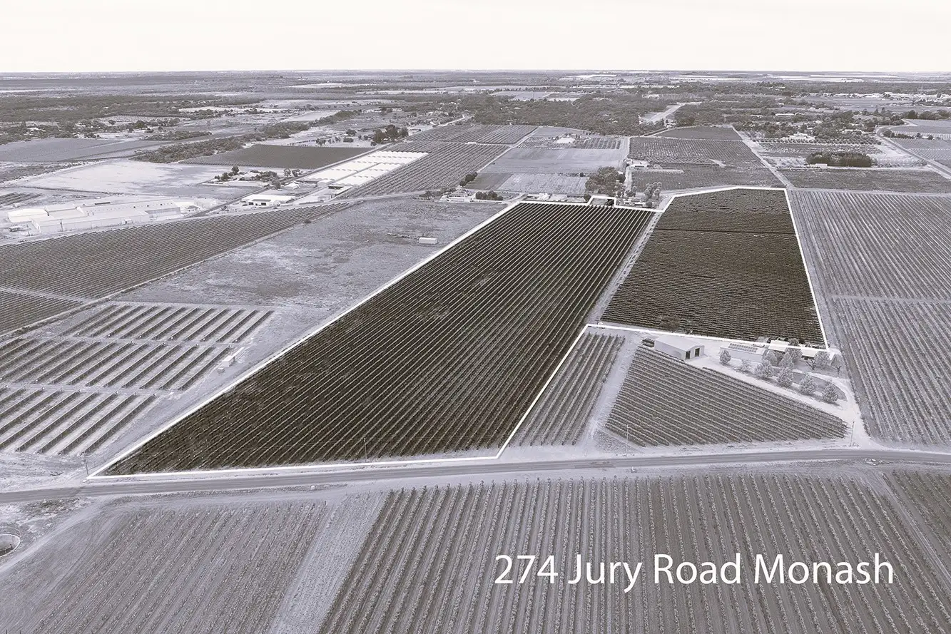 Main view of Homely rural property listing, Lot 24 Jury Road, Monash SA 5342