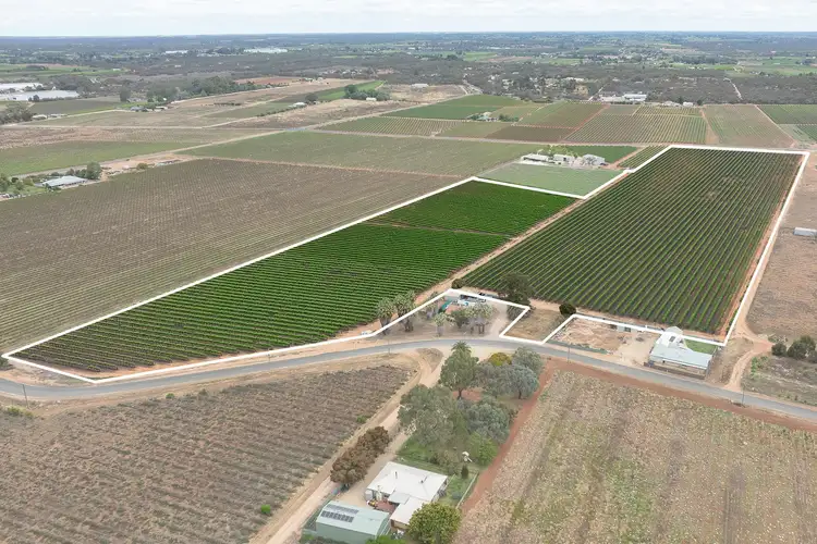 Fourth view of Homely rural property listing, Lot 24 Jury Road, Monash SA 5342