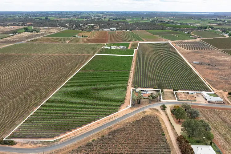 Sixth view of Homely rural property listing, Lot 24 Jury Road, Monash SA 5342