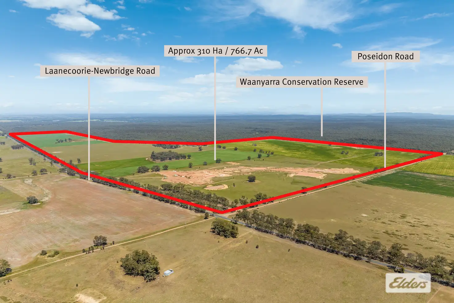 Main view of Homely rural property listing, Laanecoorie-Newbridge Road, Newbridge VIC 3551