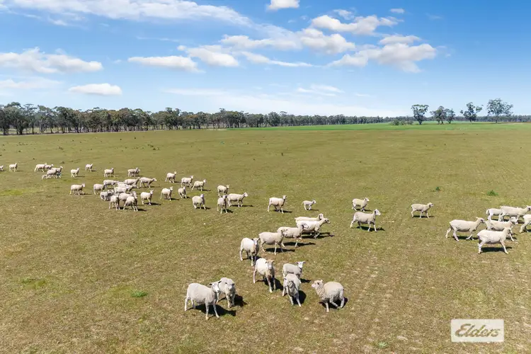 Second view of Homely rural property listing, Laanecoorie-Newbridge Road, Newbridge VIC 3551