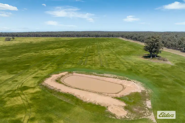 Third view of Homely rural property listing, Laanecoorie-Newbridge Road, Newbridge VIC 3551