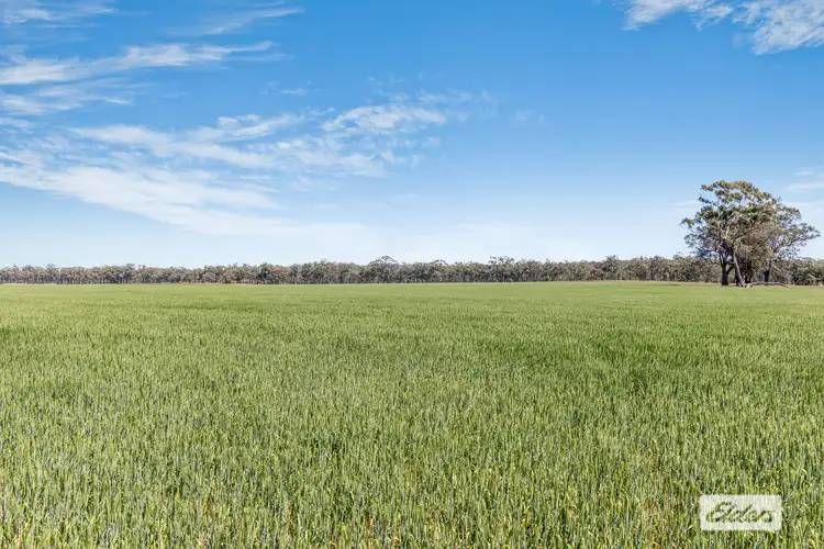Fourth view of Homely rural property listing, Laanecoorie-Newbridge Road, Newbridge VIC 3551