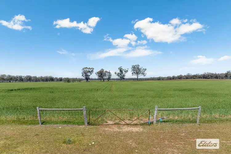 Fifth view of Homely rural property listing, Laanecoorie-Newbridge Road, Newbridge VIC 3551