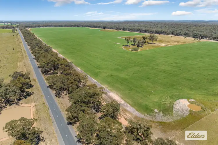 Sixth view of Homely rural property listing, Laanecoorie-Newbridge Road, Newbridge VIC 3551