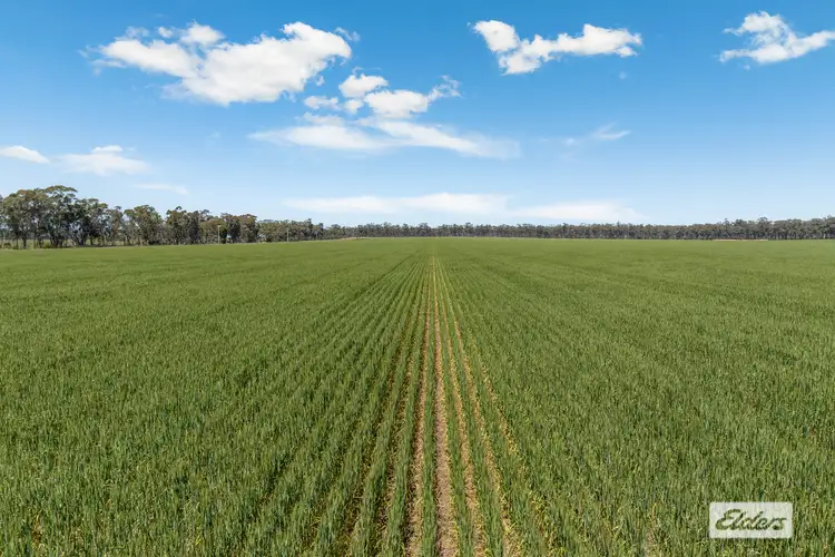 Seventh view of Homely rural property listing, Laanecoorie-Newbridge Road, Newbridge VIC 3551