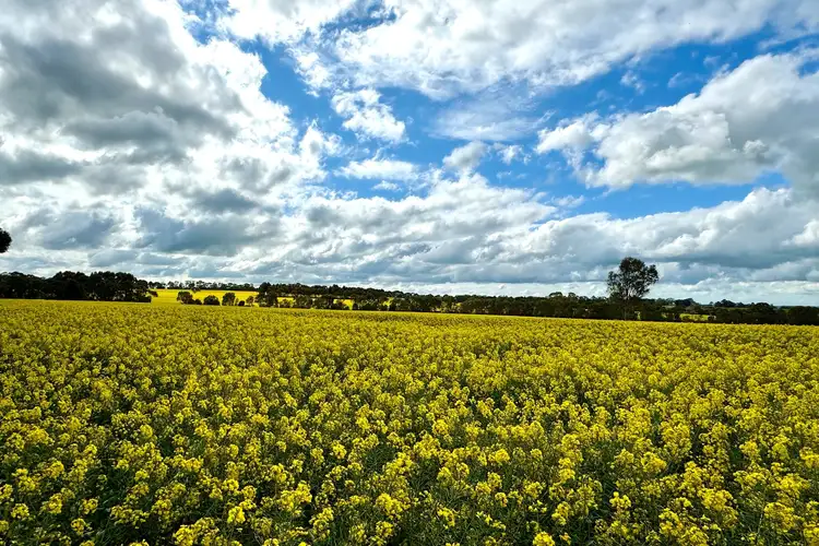 Second view of Homely rural property listing, 188 Pattisons Lane, Nareeb VIC 3293