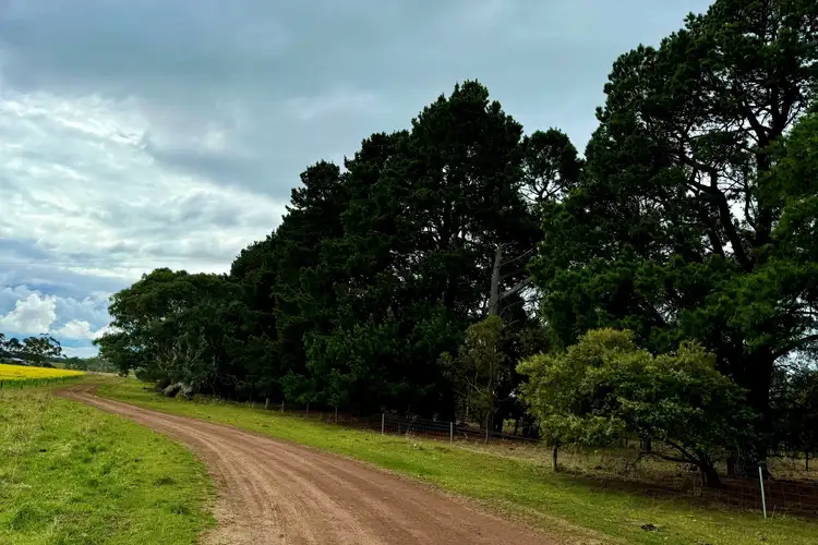 Sixth view of Homely rural property listing, 188 Pattisons Lane, Nareeb VIC 3293