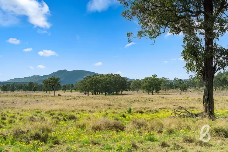 Third view of Homely rural property listing, Lot 101 & 103 Glendonbrook Road, Singleton NSW 2330