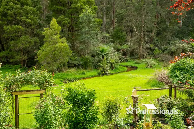 Second view of Homely house listing, 1615 Little Yarra Road, Powelltown VIC 3797