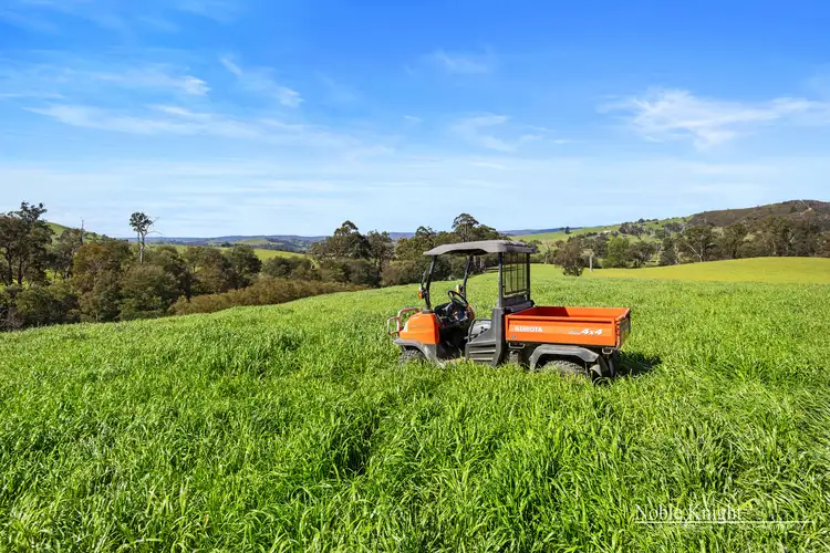 Third view of Homely rural property listing, 4333 Melba Highway, Glenburn VIC 3717