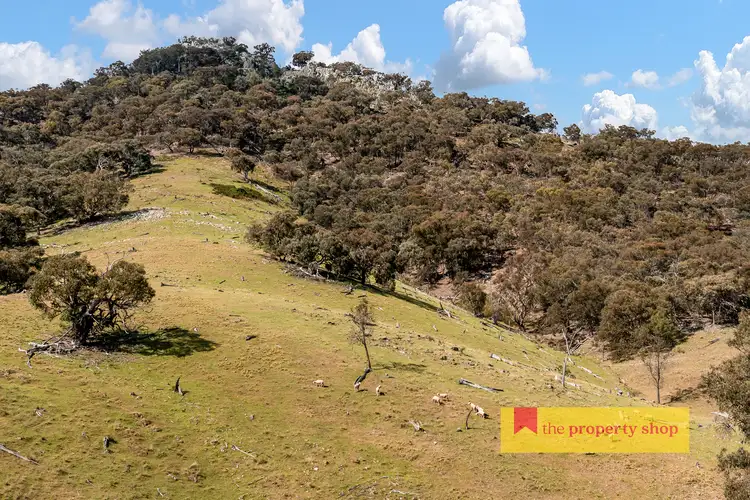 Fifth view of Homely rural property listing, 2351 Hill End Road, Mudgee NSW 2850