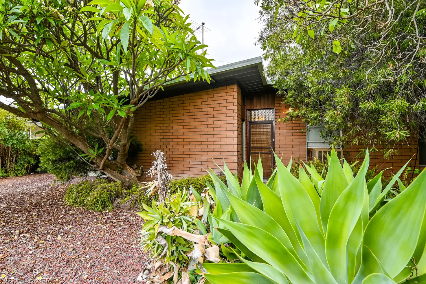 Main view of Homely house listing, 111 Pasadena Grove, Mildura VIC 3500