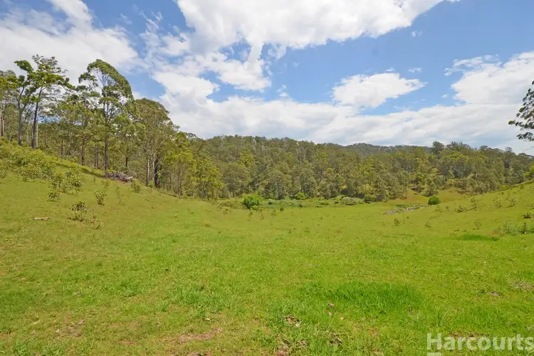Sixth view of Homely rural property listing, Lot 13, 82 Figtree Valley Road, Yarras NSW 2446