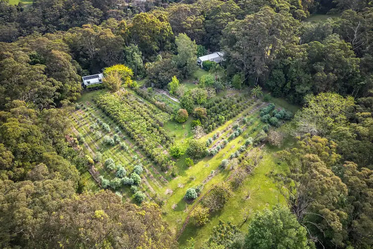 386 The Ridgeway, Lisarow NSW 2250