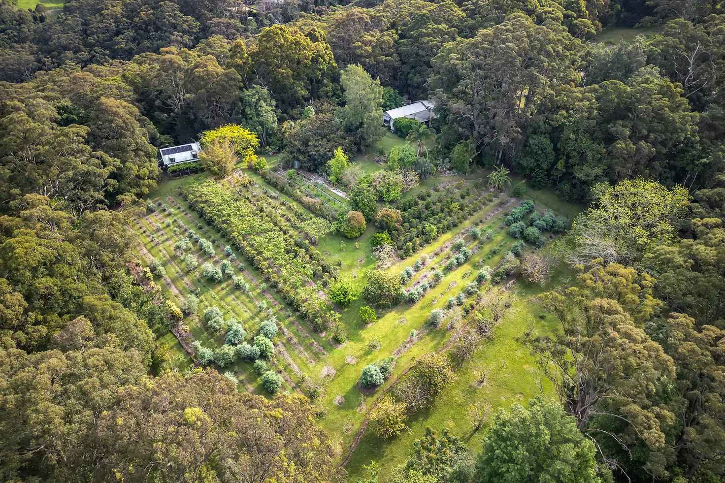 Main view of Homely rural property listing, 386 The Ridgeway, Lisarow NSW 2250